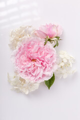 Pink rose flower with white hydrangea on white background, soft romantic vertical floral composition with copy space for wedding design, beauty branding, spa visuals, greeting cards, feminine layouts