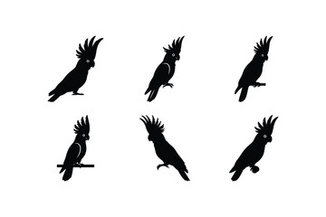 Fototapeta premium flying bird silhouette vector set