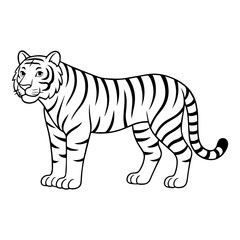 tiger vector illustration