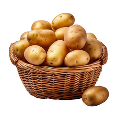 Fresh raw organic brown potatoes in a rustic basket, isolated white background