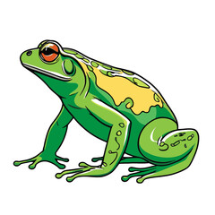 Fototapeta premium nice frog vector image 