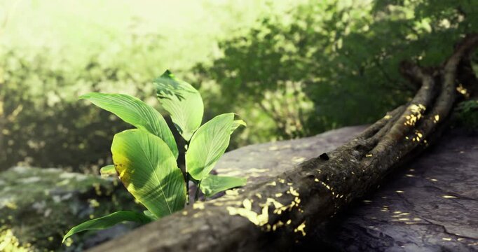Bright green leaves emerge alongside a sturdy log in a sun dappled forest during the daytime. Nature thrives in this tranquil, lush environment filled with soft light.