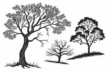 Placeholder image display