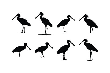spoonbill flat beak silhouette vector set