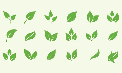 Collection of various green leaf illustrations on cream background