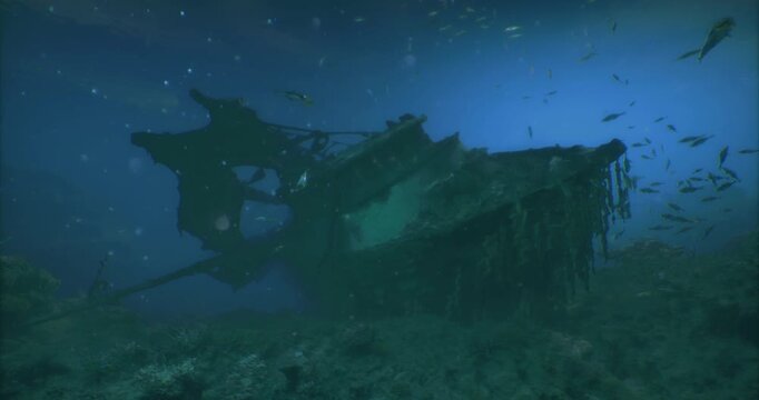An ancient shipwreck is partially buried in sand, covered with algae and surrounded by various fish. Sunlight filters through the water, creating a serene underwater atmosphere.