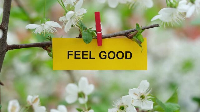 A yellow paper note with the phrase Feel Good on it attached to a branch with cherry blossoms on it with a clothes pin. Close up.