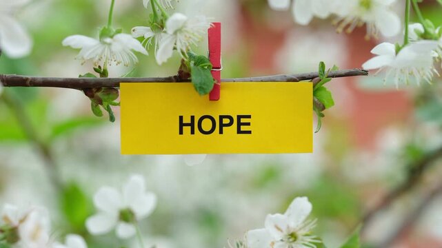 A yellow paper note with the word Hope on it attached to a branch with cherry blossoms on it with a clothes pin. Close up.