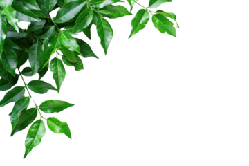 Vibrant and Dynamic Geometric Pattern. Modern art concept