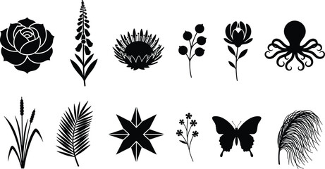 Nature silhouette icon set, rose foxglove protea magnolia octopus butterfly feather, botanical vector design, black graphic elements collection © MDBELAL