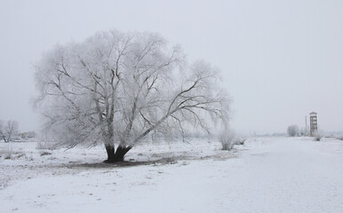 Wonderful winter landscape on a clear frosty day.