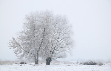 Wonderful winter landscape on a clear frosty day.