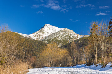 Krivan mountain in High Tatras National Park, Slovakia, Europe. Snowy mountain peak against a blue sky with trees in the foreground, offering a scenic view of the winter landscape.