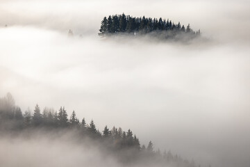 Misty forest valley in a winter morning. The Orava region in north of Slovakia, Europe.