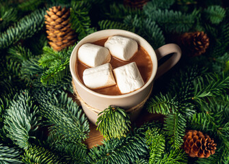 Mug with hot chocolate and marshmallow on the evergreen branches background. Cozy winter mood. Selective focus.