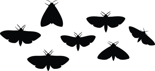 Black moth silhouettes on transparent background isolated on transparent background © FARZANAAKTER
