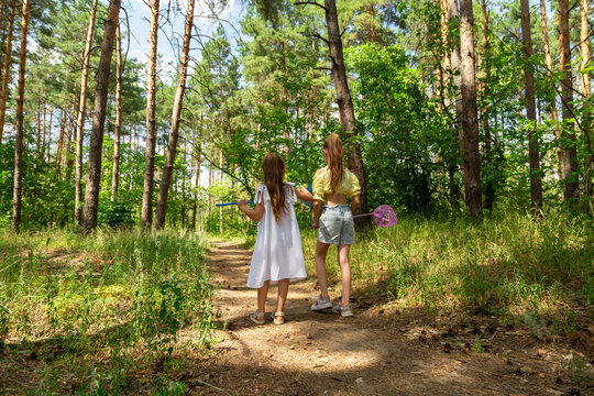 Two little girls catching insects with nets in forest