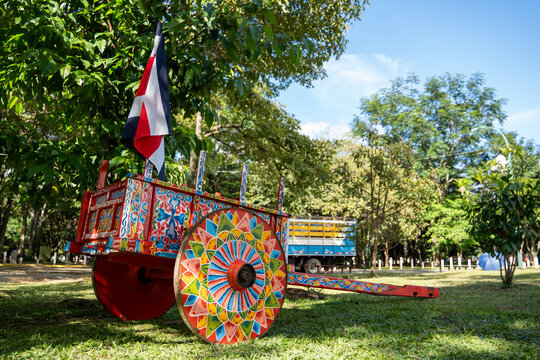 Traditional Costa Rican painted oxcart with national flag in a rural park under bright daylight