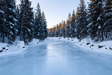 Obraz premium Serene winter landscape with a frozen river flowing through a snowy pine forest