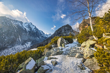 A scenic mountain trail winds through rocky terrain, offering panoramic views of snow-capped peaks under a bright, partly cloudy sky. High Tatras National Park, Slovakia, Europe.