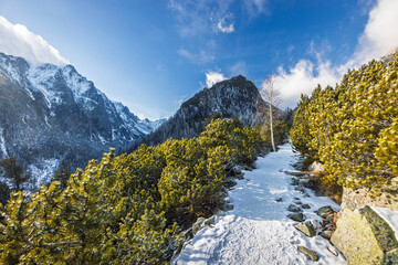 A scenic snowy trail winds through mountains, with lush trees dotting the path and a clear blue sky overhead, perfect for a winter hike. High Tatras National Park, Slovakia, Europe.