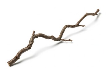 Obraz premium Twisted brown branch isolated on white studio background transparent background