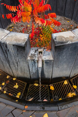 A stream of water flows from a spring, a structure made of stone and metal. A source of mineral water