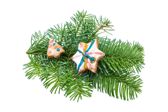 Pl&auml;tzchen Weihnachtspl&auml;tzchen auf Tannengr&uuml;n Nadelgr&uuml;n