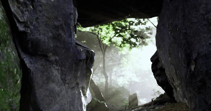 Sunlight gently filters through trees, illuminating a narrow path between towering rocks in a peaceful forest setting. The atmosphere is serene and inviting for exploration.