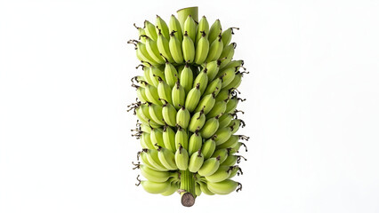 A large bunch of green bananas hanging together isolated on white background