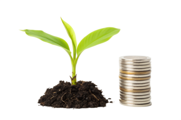 A young, vibrant green plant seedling emerges from rich soil, symbolizing growth and prosperity alongside a stack of metallic coins, representing financial investment and economic development