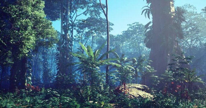 Dense tropical rainforest showcases rich greenery and towering trees basking in soft sunlight. Different types of plants and undergrowth create a vibrant ecosystem in a serene environment.