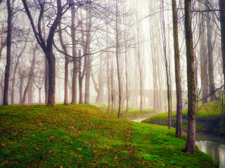 Puente medieval oculto entre la niebla de la mañana