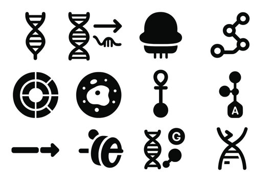 Molecular Biology Icons. Solid style icons of Molecular Biology: RNA strand, transcription process, ribosome, protein chain, codon