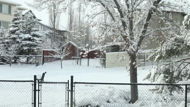 winter landscape with a fence christmas cold nice