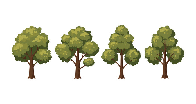 Collection of four stylized green trees with brown trunks on a white background