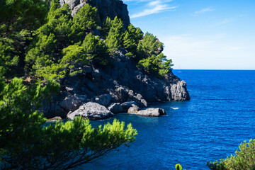 Scenic Mediterranean coastal landscape with dramatic cliffs, green pine forest and deep blue sea under a clear sky