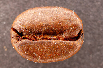 Roasted coffee bean showing macro texture and detail