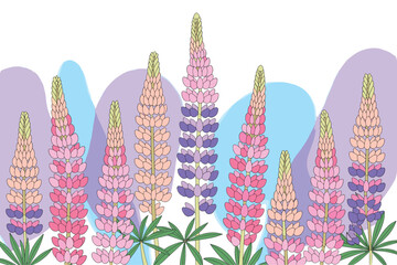 Vibrant Lupine Blooms with Wavy Abstract Shapes