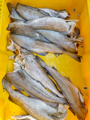 Freshly caught fish in a yellow container for market sale