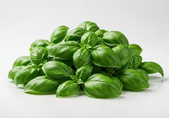 Fototapeta premium A vibrant pile of fresh green basil leaves displayed on a white surface, emphasizing the healthy nutritional value of this popular culinary herb, superfood, organic, herb