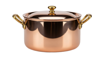 Copper Pot with Gold Handles