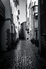 Narrow Mediterranean old town street with stone buildings, plants and cobblestone pavement.