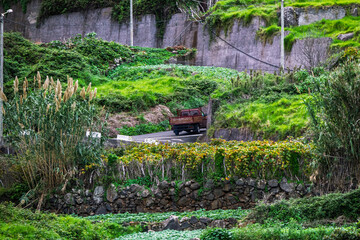 Rural hillside road in Madeira with lush green terraces, stone retaining walls, and a small pickup truck driving along a narrow mountain road