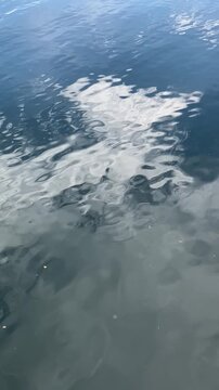 Calm gray and dark blue water is flowing - small wave, ripple and wavelet. Sun glitter is reflecting sky and creating bright flash. Small dirty particles on the water.