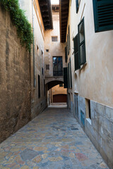 Narrow Mediterranean old town street with stone buildings, plants and cobblestone pavement.
