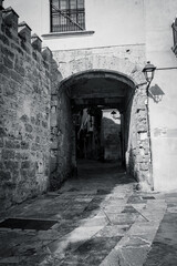 Narrow Mediterranean old town street with stone buildings, plants and cobblestone pavement.