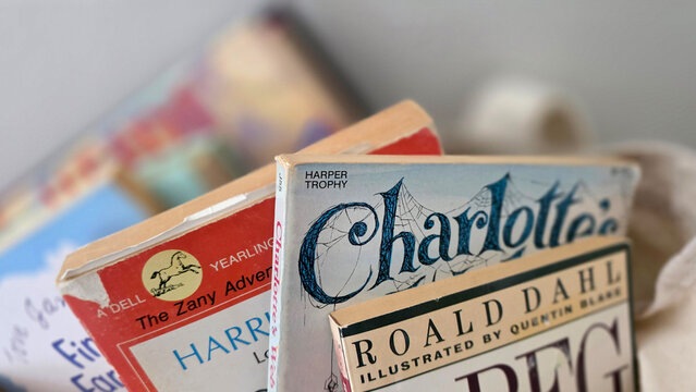 close up of bag with tattered children's novels including Charlotte's Web, The BFG and Harriet the Spy, on December 12, 2025, Schaumburg, IL