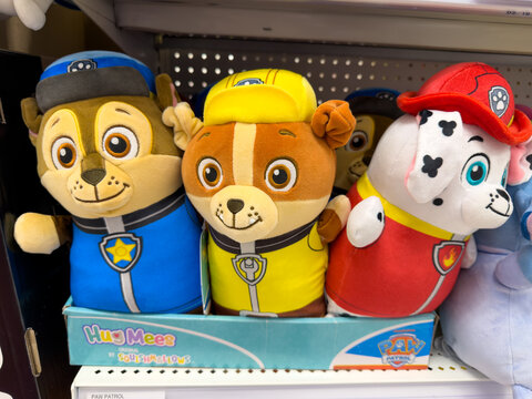 Paw Patrol Plush Toy Characters Retail Display