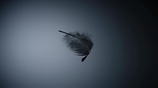 A single feather, seemingly suspended in mid-air, against a muted gray-blue backdrop